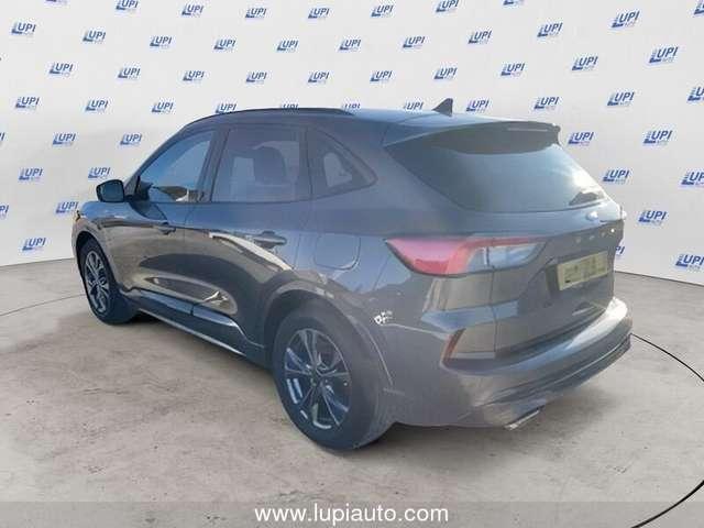 Ford Kuga 1.5 ecoblue ST-Line 2wd 120cv auto