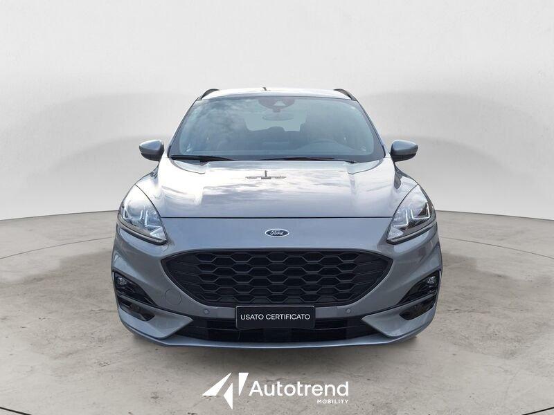 Ford Kuga 1.5 EcoBlue 120 CV Automatica ST-Line 2WD