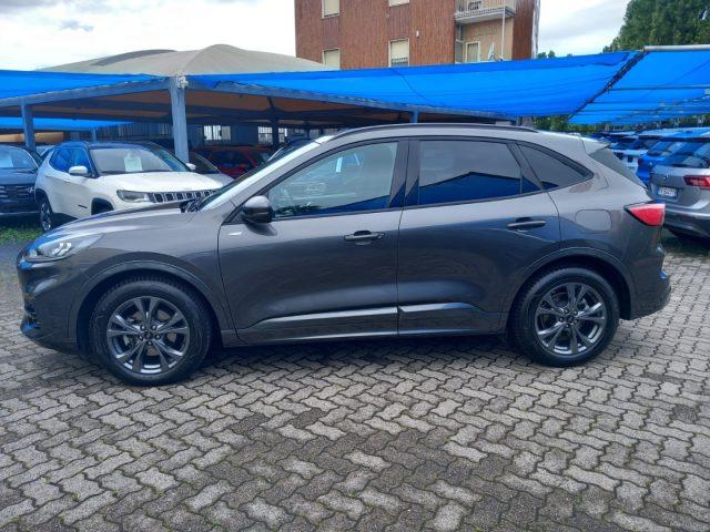 FORD Kuga 2.0 EcoBlue 120 CV aut. 2WD ST-Line