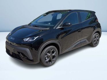 BYD Dolphin Surf Boost