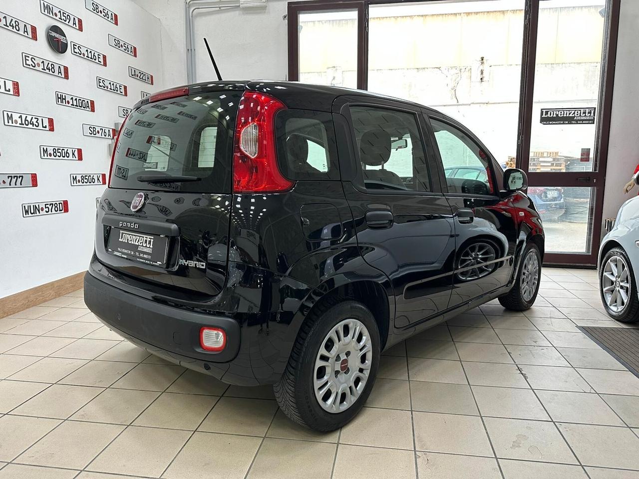 Fiat Panda 1.0 FireFly S&S Hybrid Easy - GARANZIA