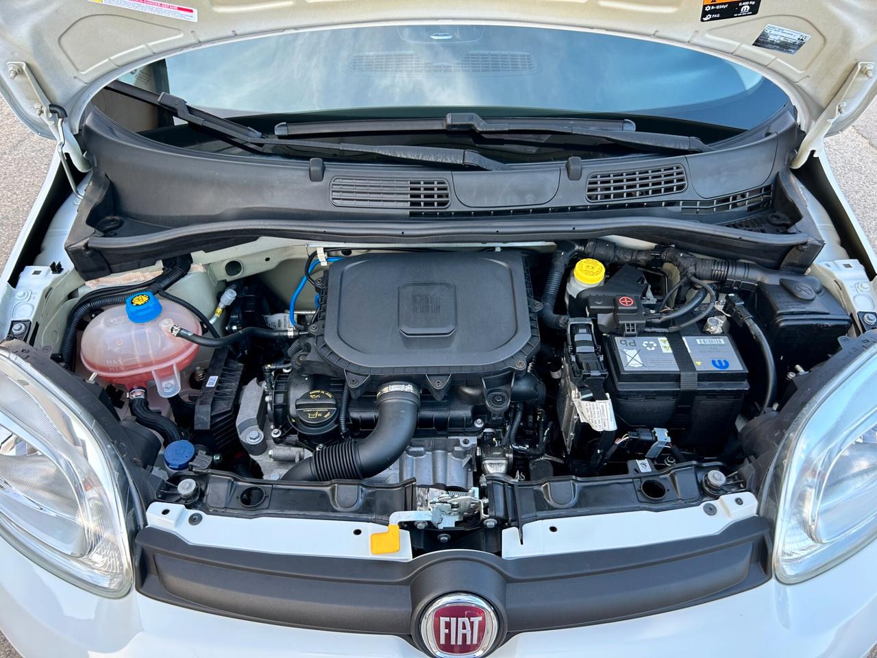 Fiat Panda 1.0 FireFly S&S Hybrid City Life