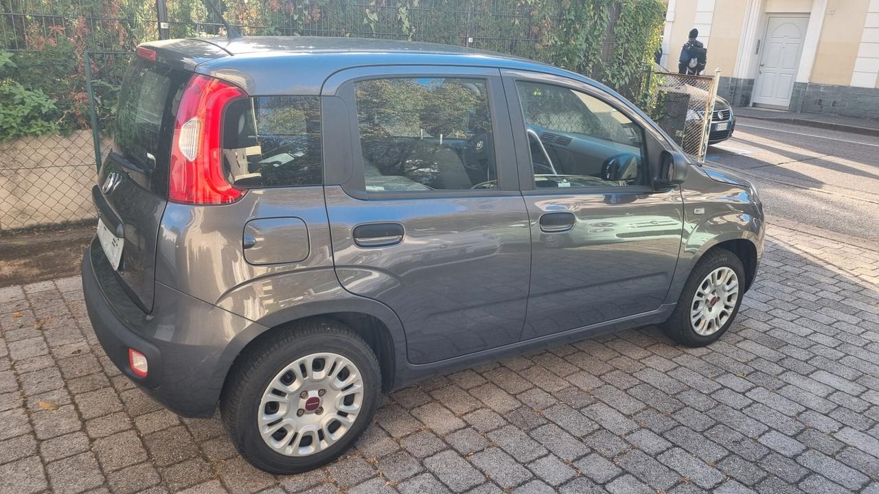 Fiat Panda 1.2 69CV 10/2018 Km 21000 neopat