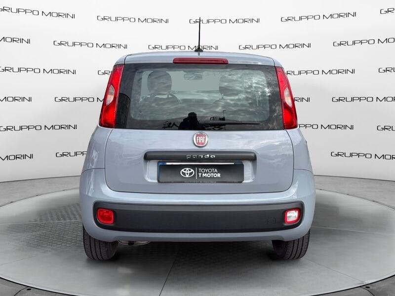 FIAT Panda Panda 1.2 Easy