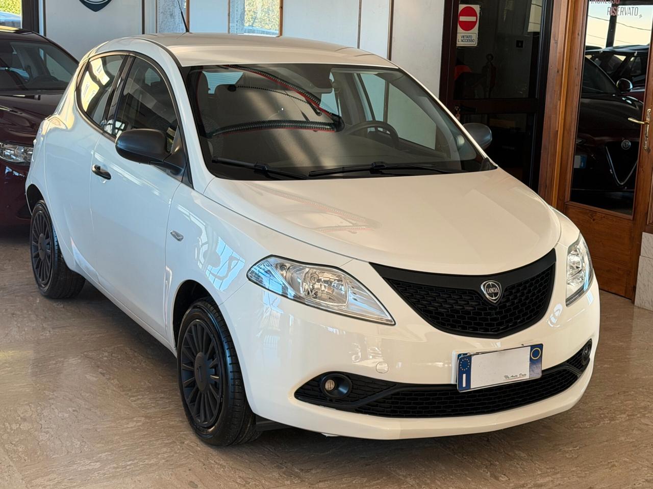 Lancia Ypsilon 1.2 69 cv. ELEFANTINO BLU