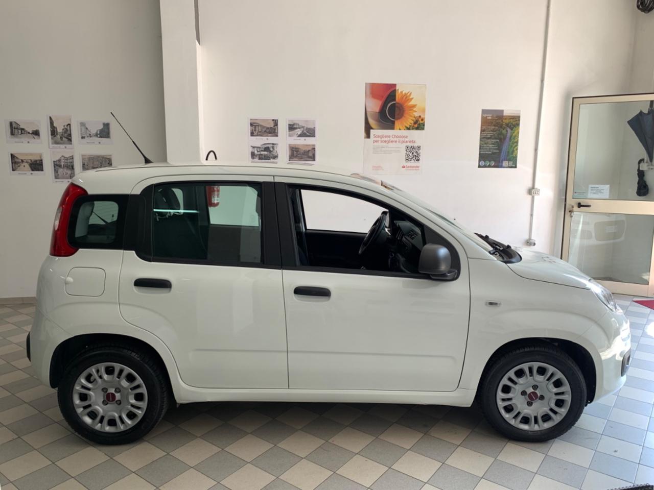 Fiat Panda 1.3 MJT 95 CV S&S Easy solo 80.000 km certificati