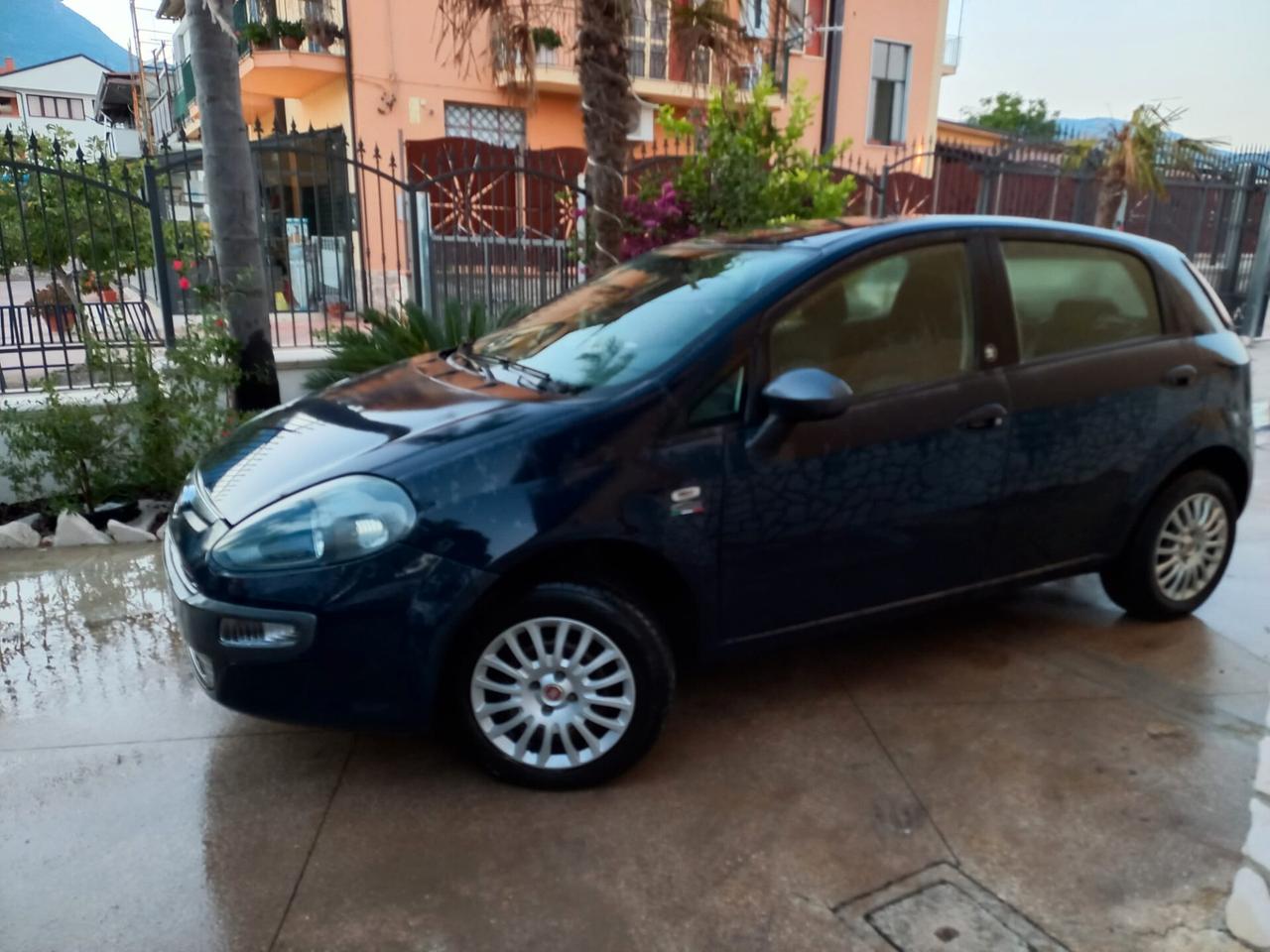 Fiat Punto Evo Punto Evo 1.4 5 porte Active Natural Power