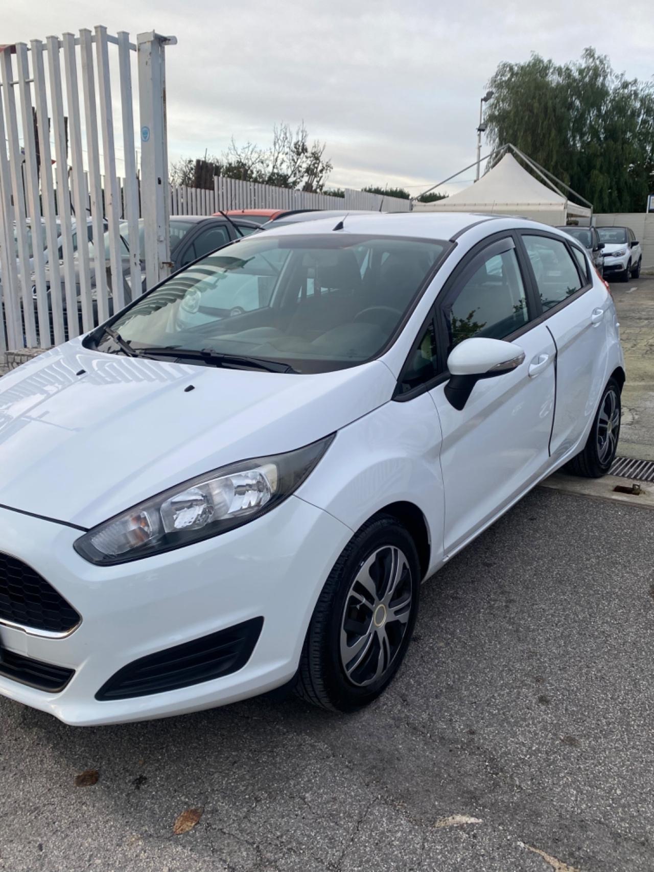 Ford Fiesta 1.5 TDCi 75CV 5 porte Titanium