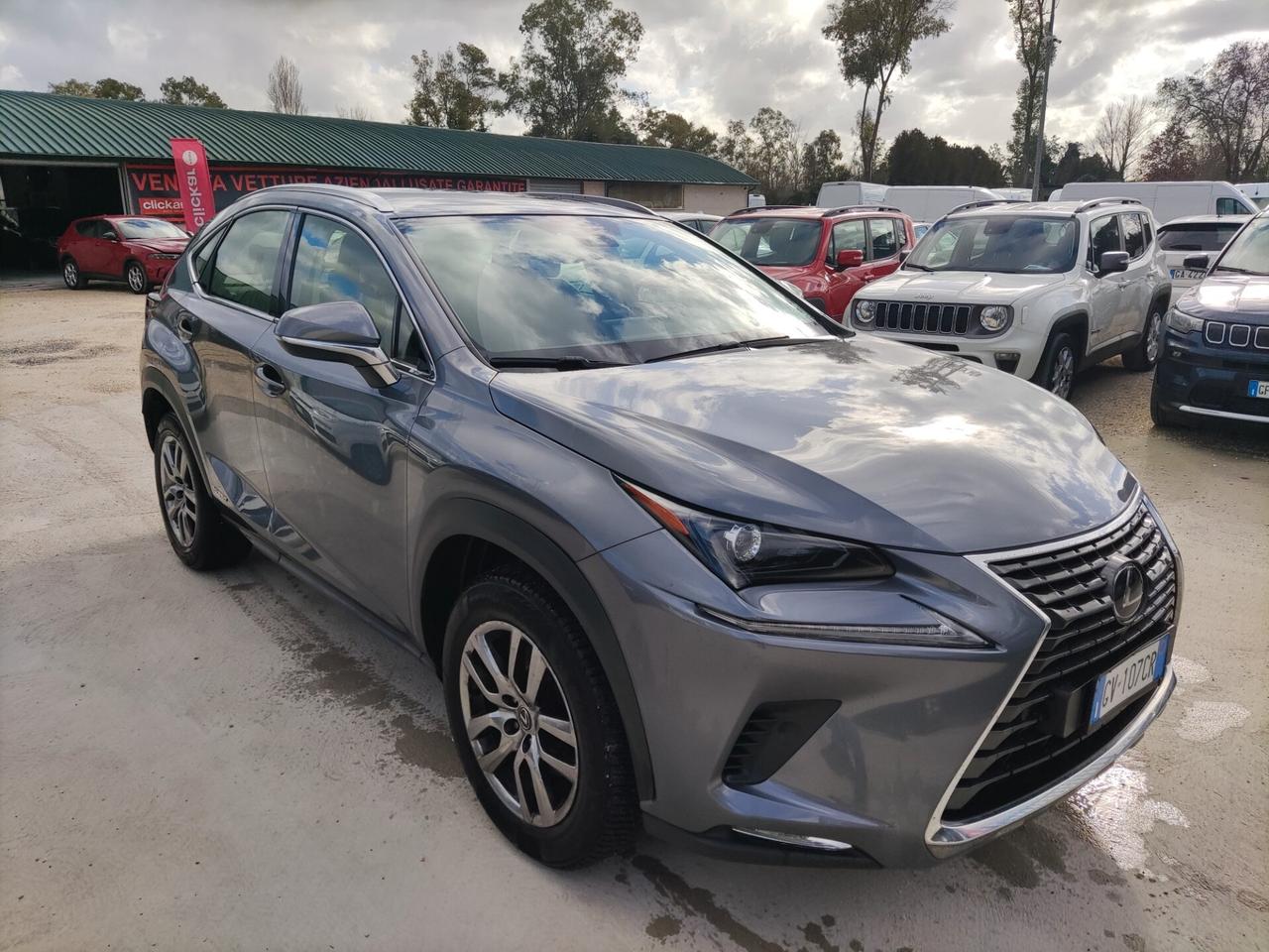 Lexus NX 300h NX Hybrid 4WD Premium