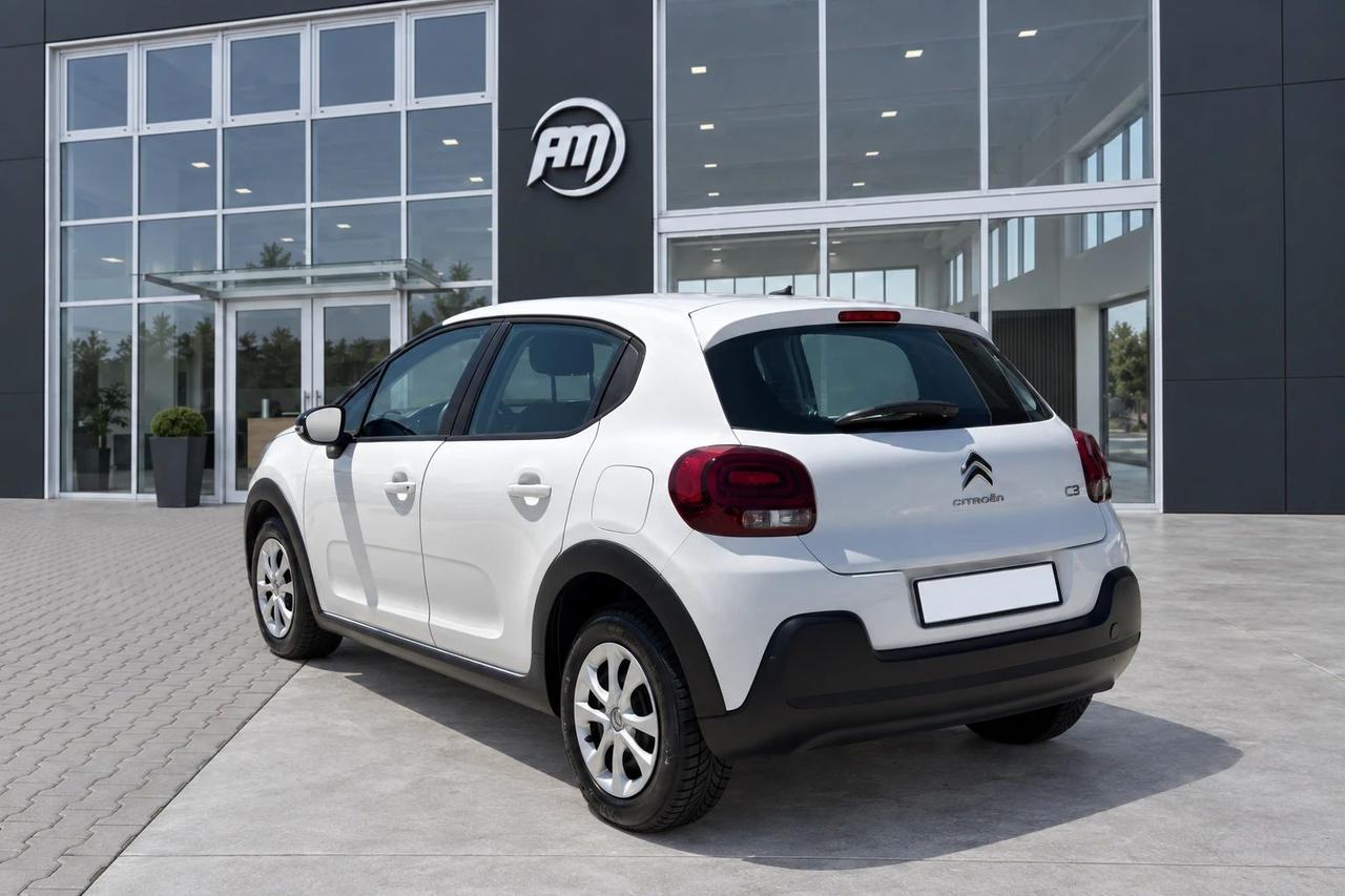 Citroen C3 1.5 100cv van 2 posti