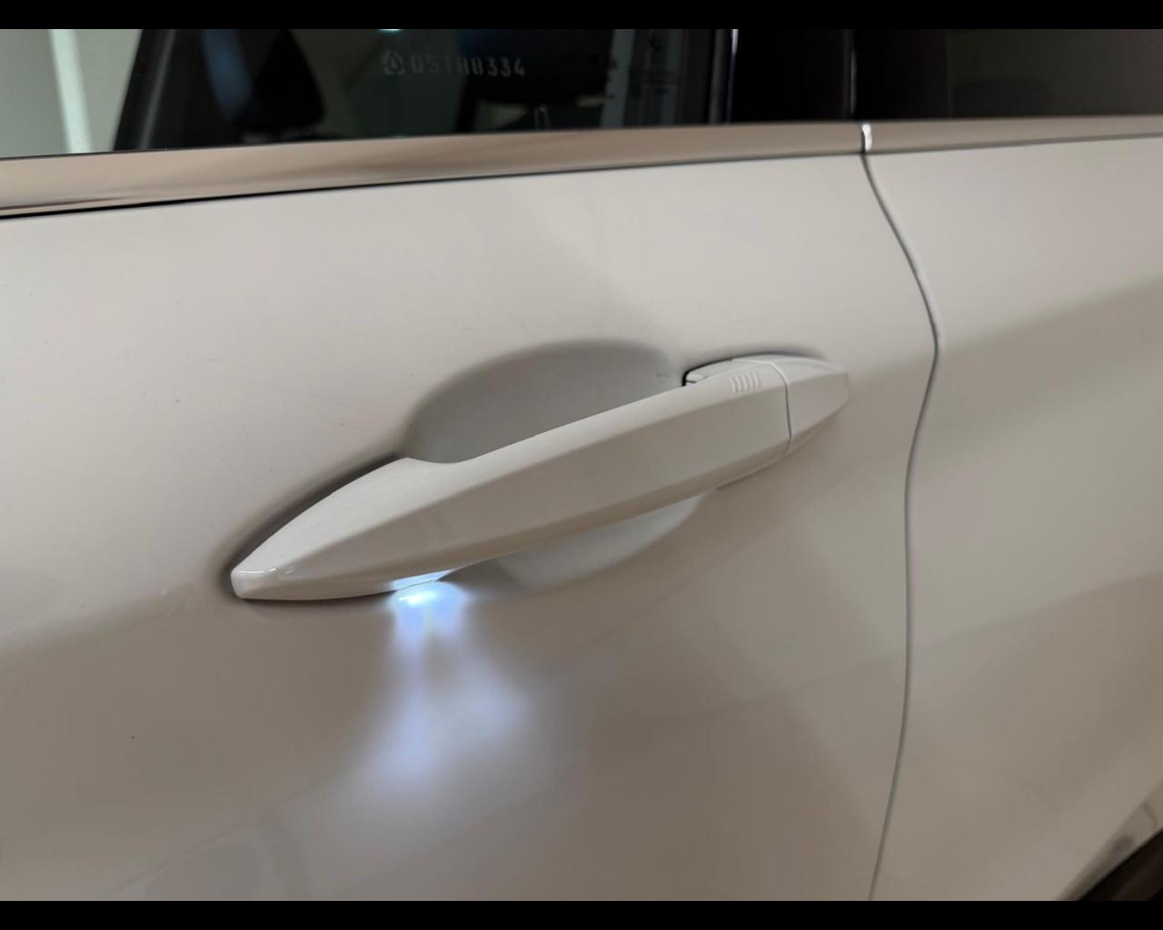 BMW X1 (F48) - X1 xDrive18d xLine Plus