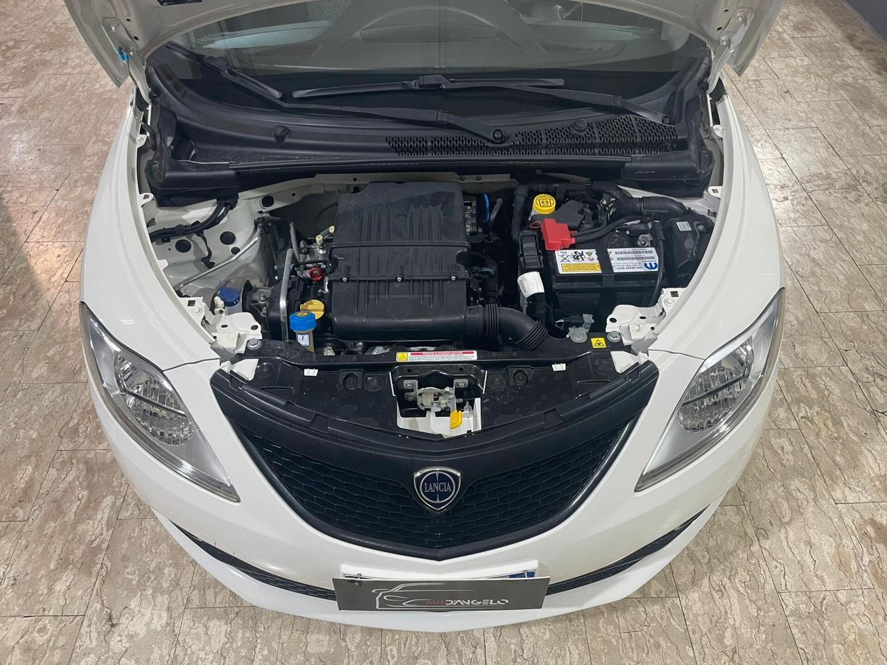 Lancia Ypsilon 1.2 69 CV 5 porte S&S Elefantino Blu