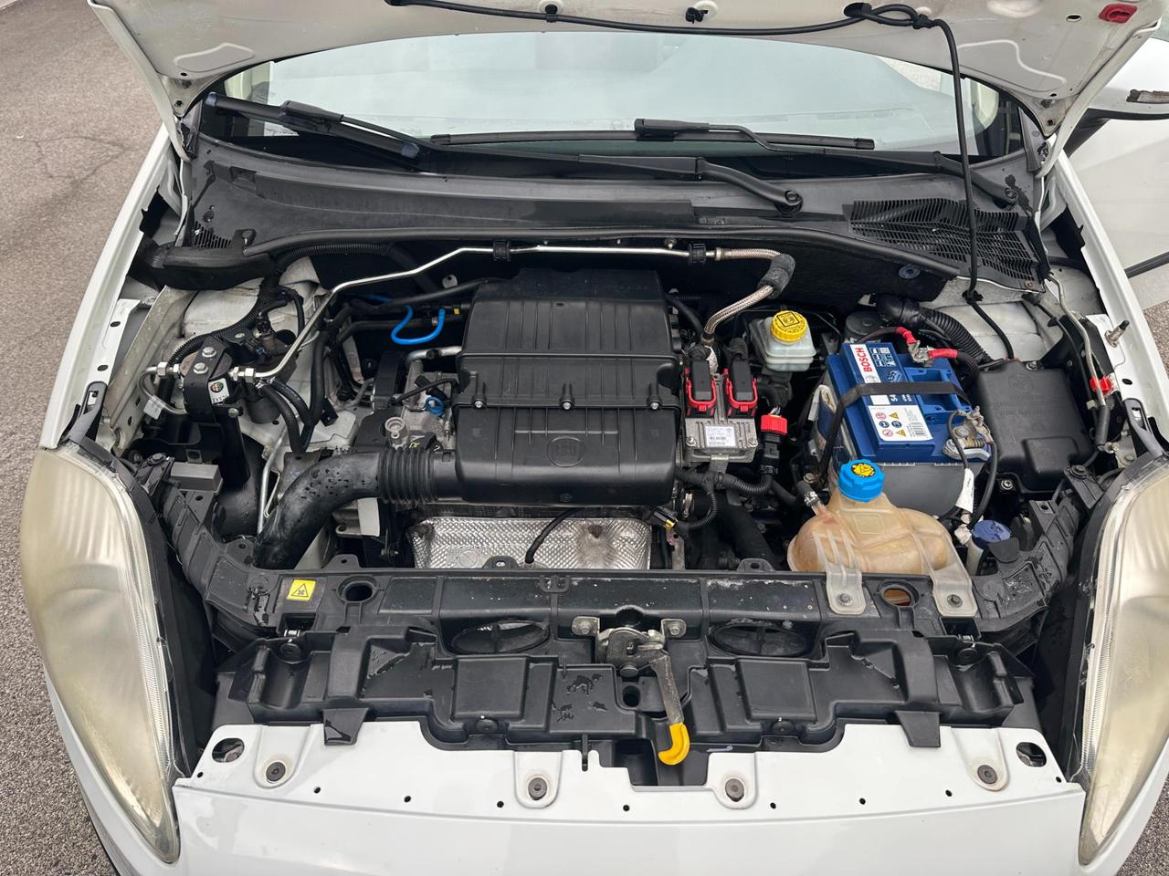 Fiat Grande Punto 3 Porte Grande Punto 3p 1.4 natural power Dynamic 77cv