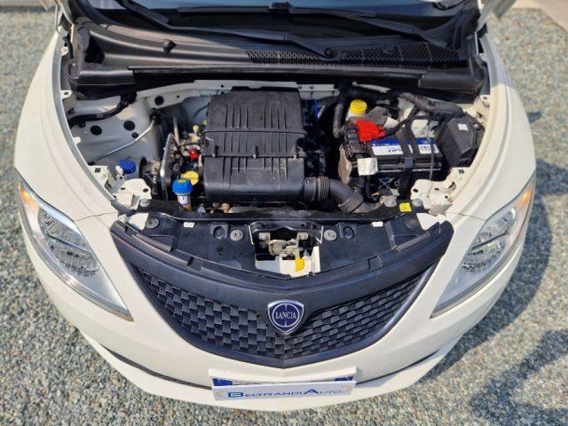 LANCIA Ypsilon 1.2 5 porte Elefantino euro6