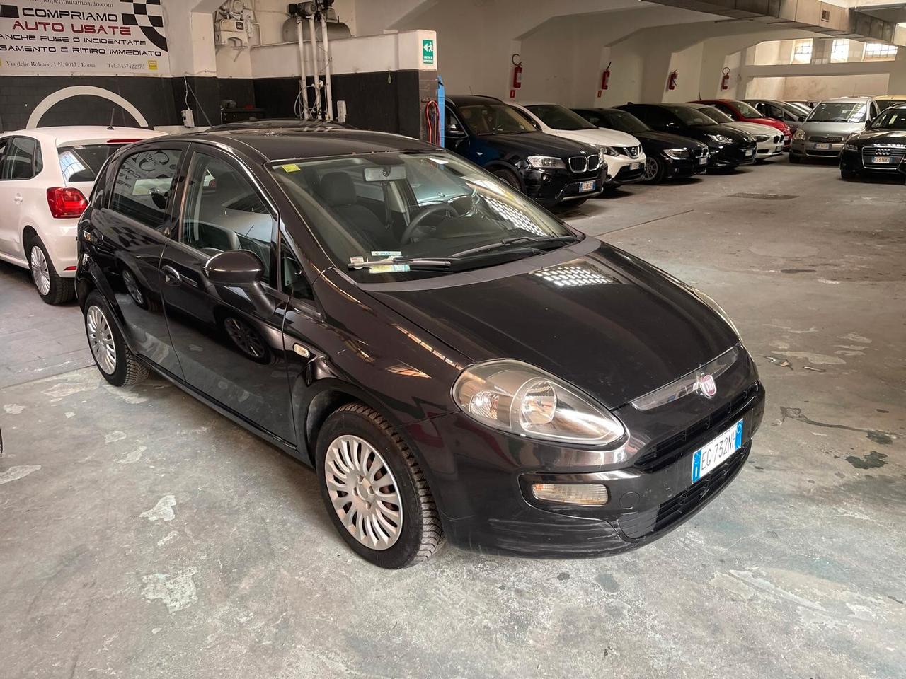 Fiat Punto Evo 1.3 Mjt 75 CV DPF 5 porte S&S Active