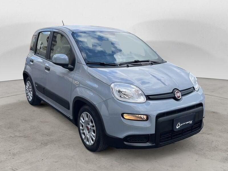 FIAT Panda 1.0 FireFly Hybrid GPL - NAVI/BLUETOOTH
