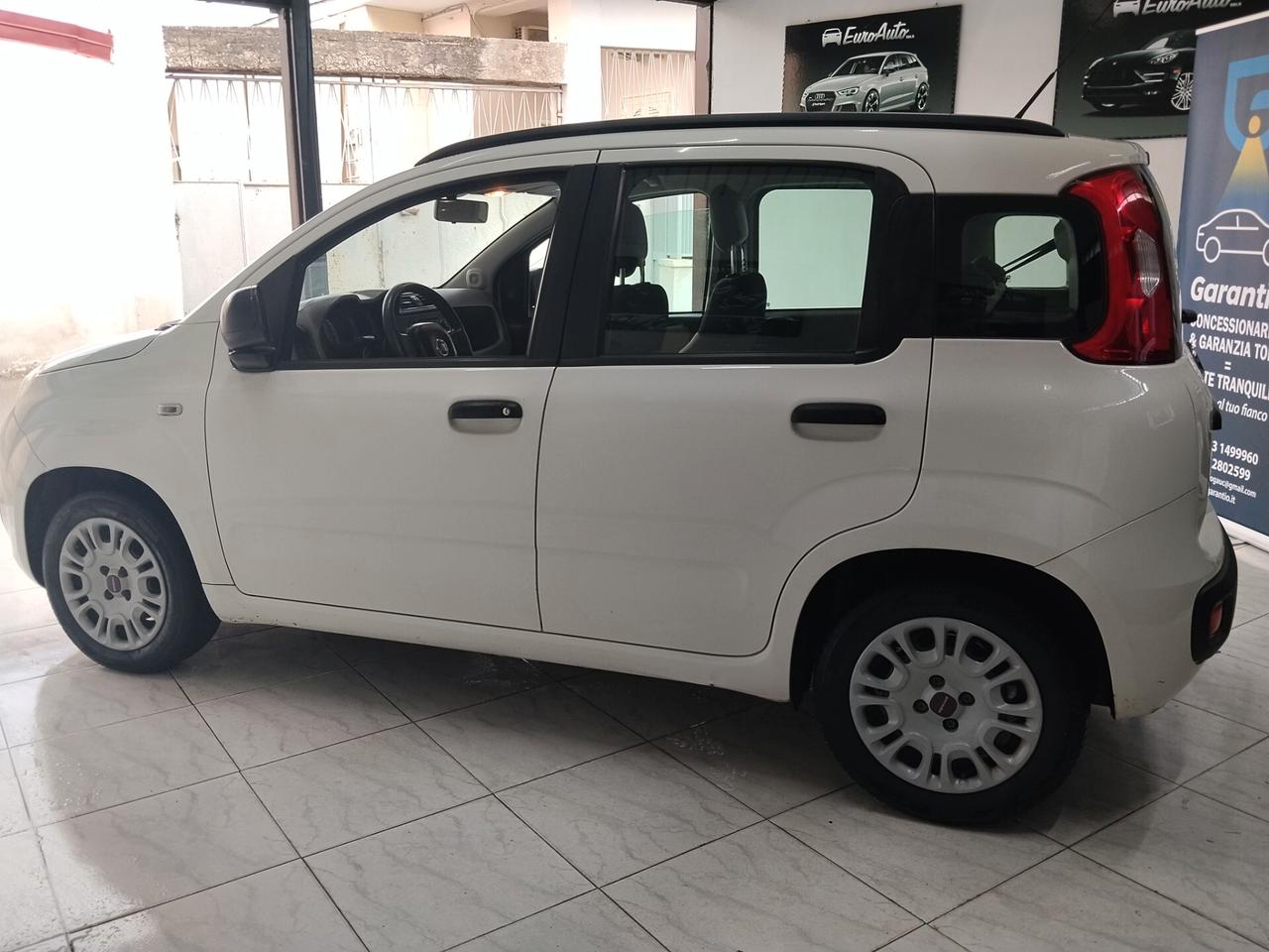 Fiat Panda 1.2 benzina 2014 CON GARANZIA