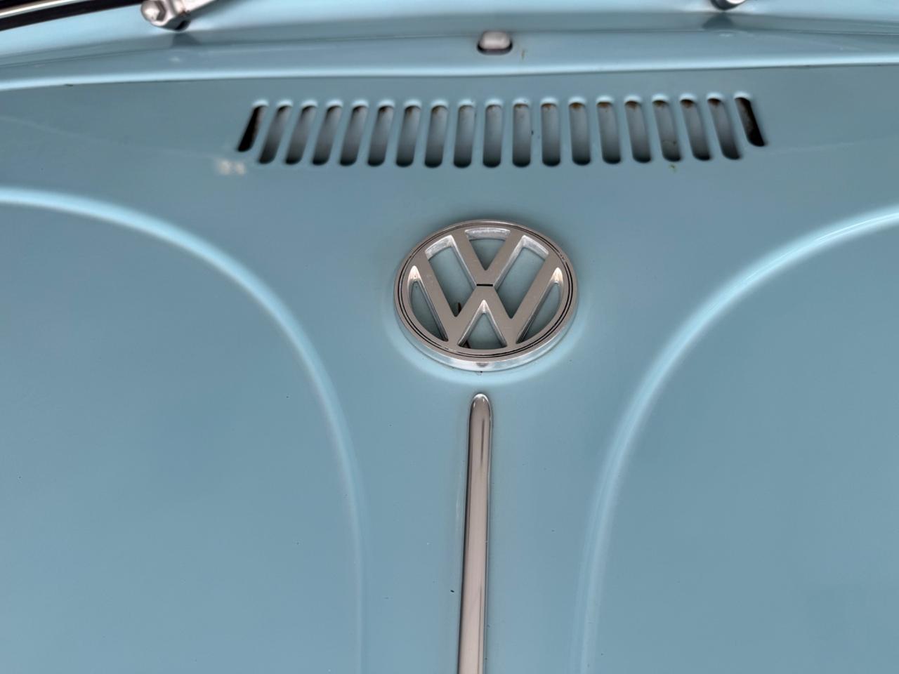 Volkswagen Maggiolino Vetro piatto