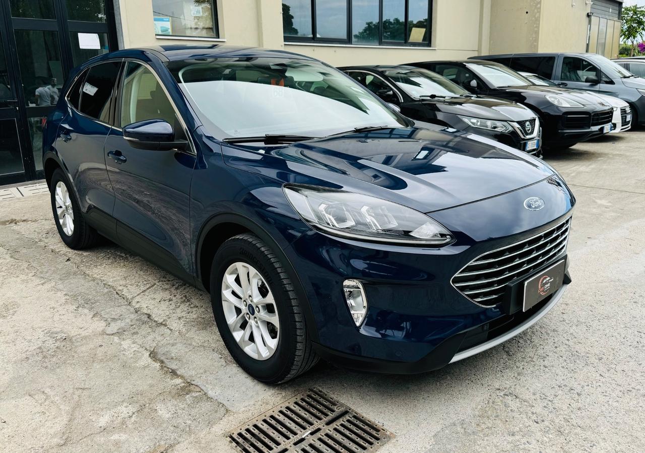 Ford Kuga 1.5 EcoBlue 120 CV aut. 2WD Titanium Business