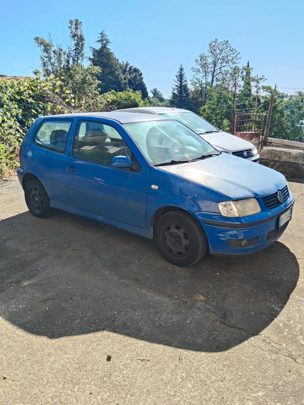 Volkswagen Polo 1.4 TDI cat 3 porte Comfortline