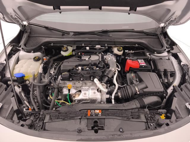 FORD Focus 1.5 ecoblue ST-Line 115cv auto