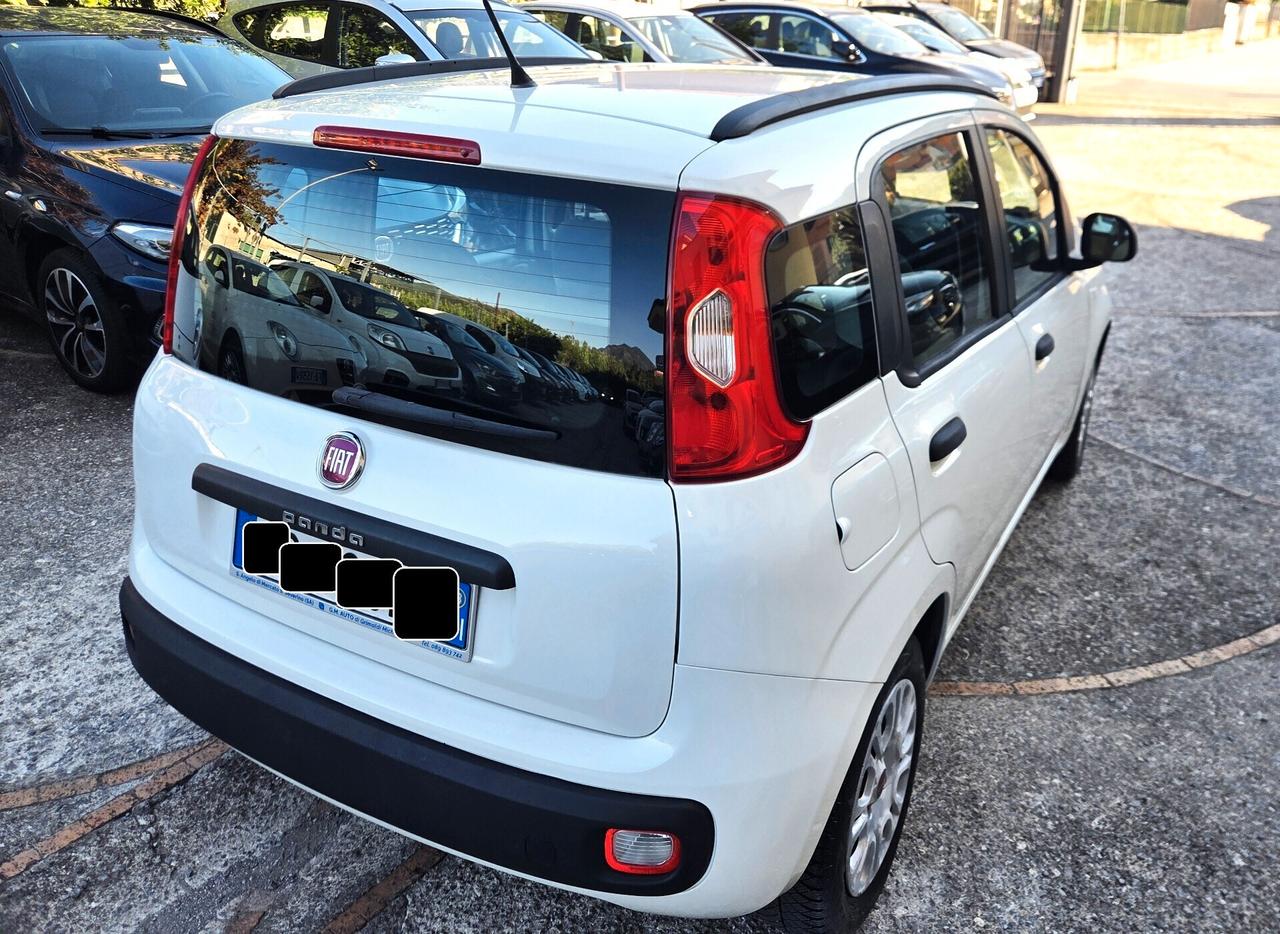 Fiat Panda 1.2 Easy BEN TENUTA GARANZIA 12 MESI