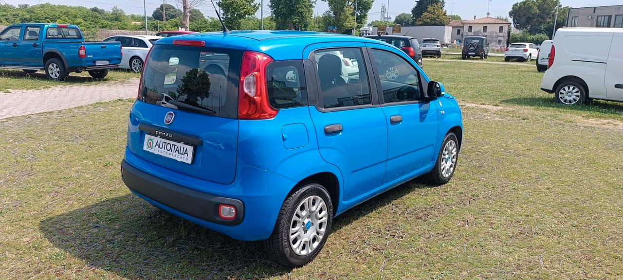 Fiat Panda 1.2 EasyPower Pandazzurri B/GPL
