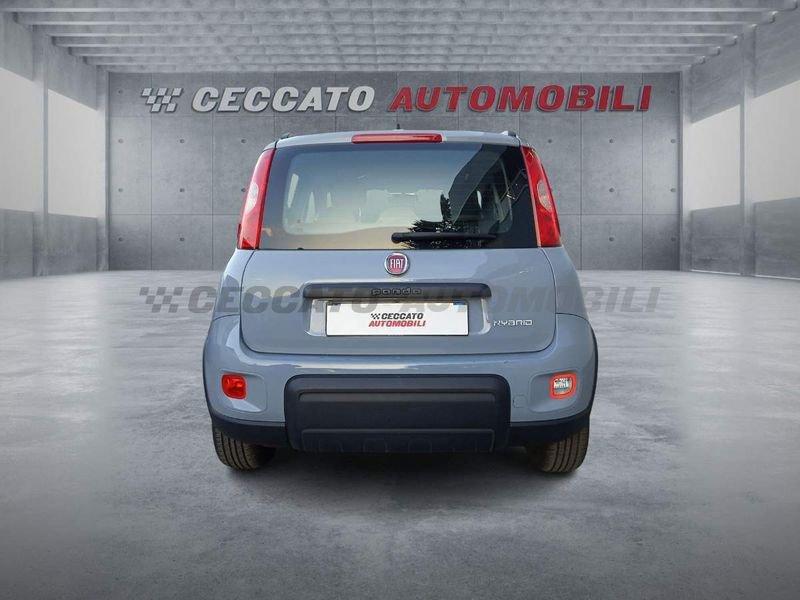 FIAT Panda Panda 1.0 firefly hybrid City Life s&s 70cv 5p.ti