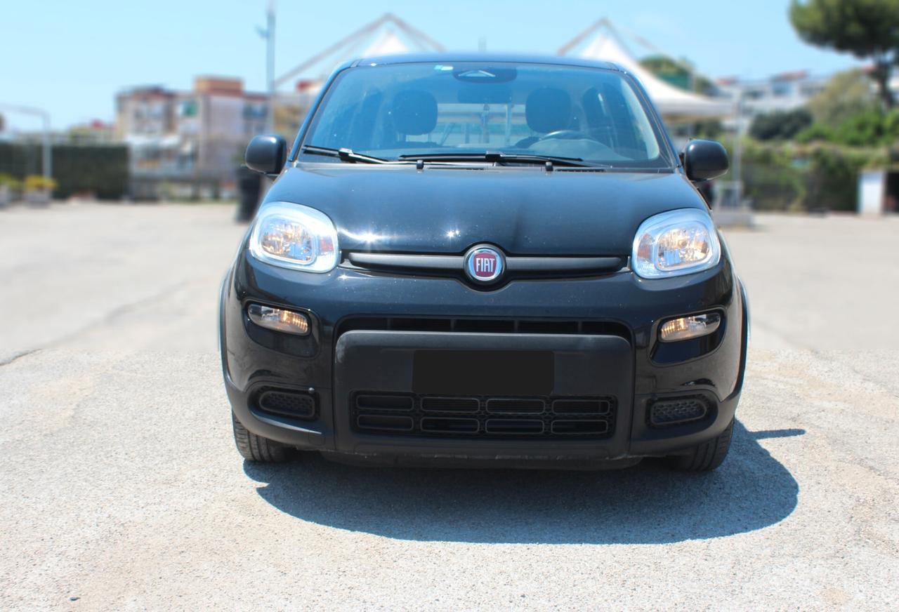Fiat Panda 1.0 FireFly S&S Hybrid Pandina