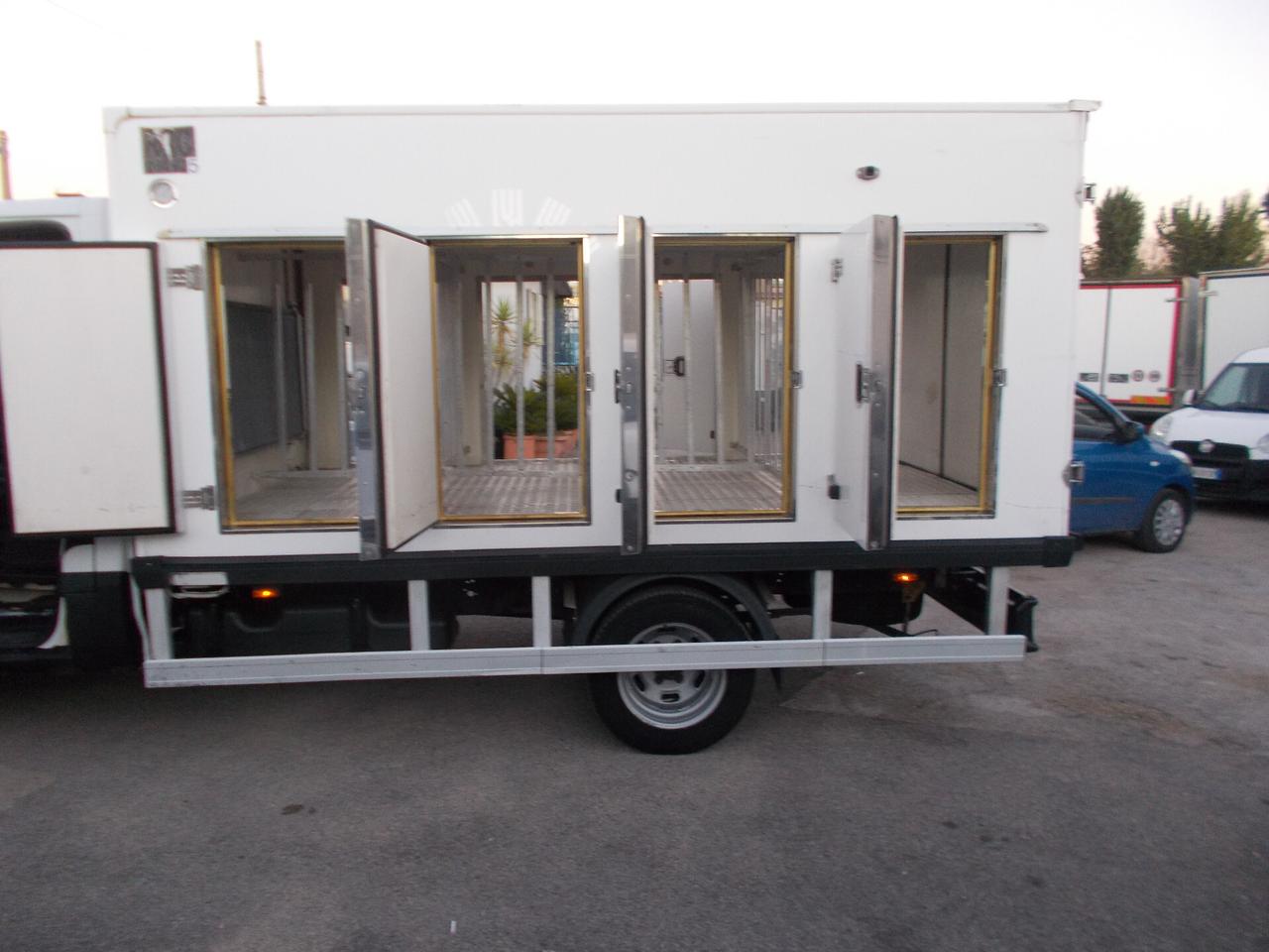 Iveco daily 35c15 anno 2016 cella surgelati