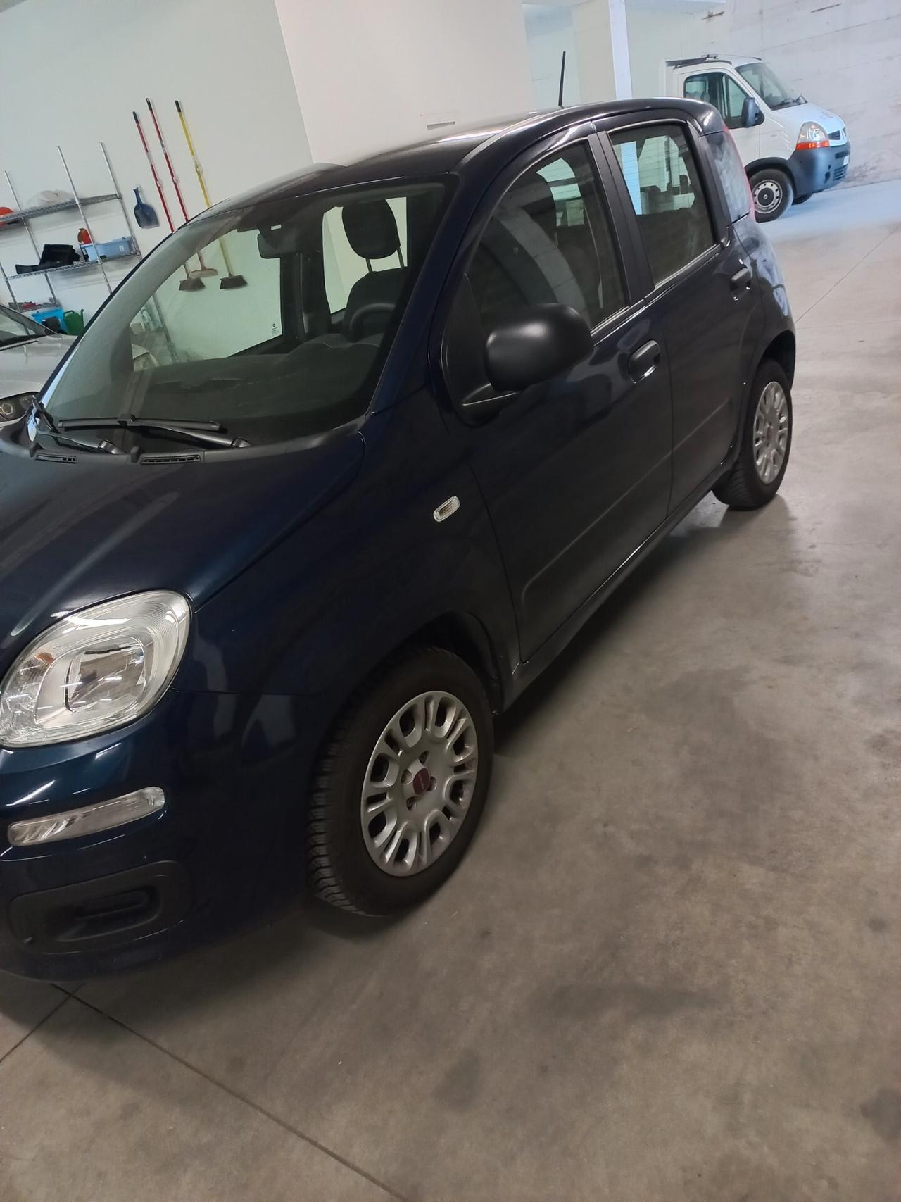 Fiat Panda 1.2 Pop modello Trussardi