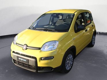 FIAT Panda 1.0 FireFly S&S Hybrid Pandina