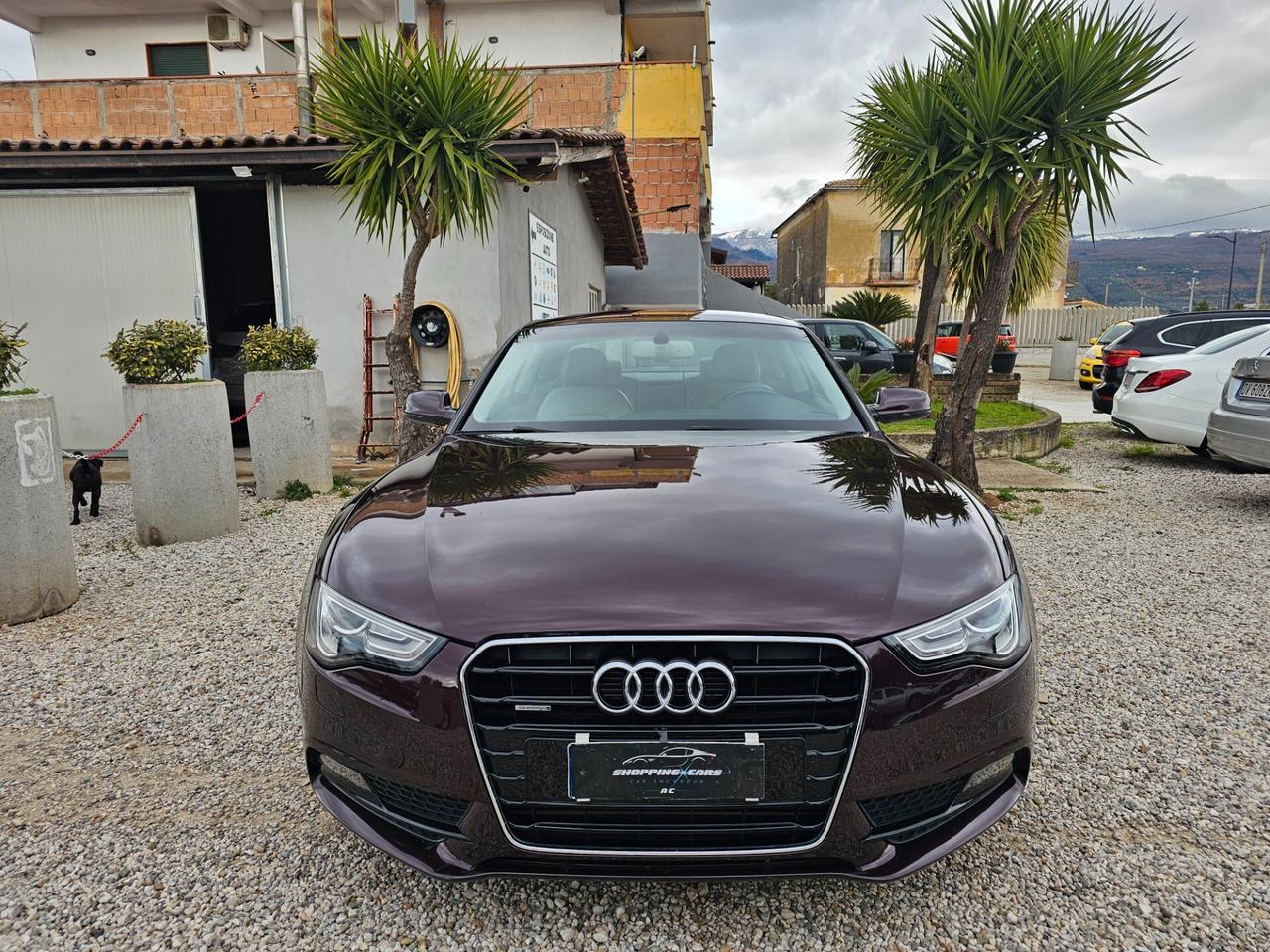 Audi A5 3.0 V6 TDI 245 CV quattro S tronic Advanced
