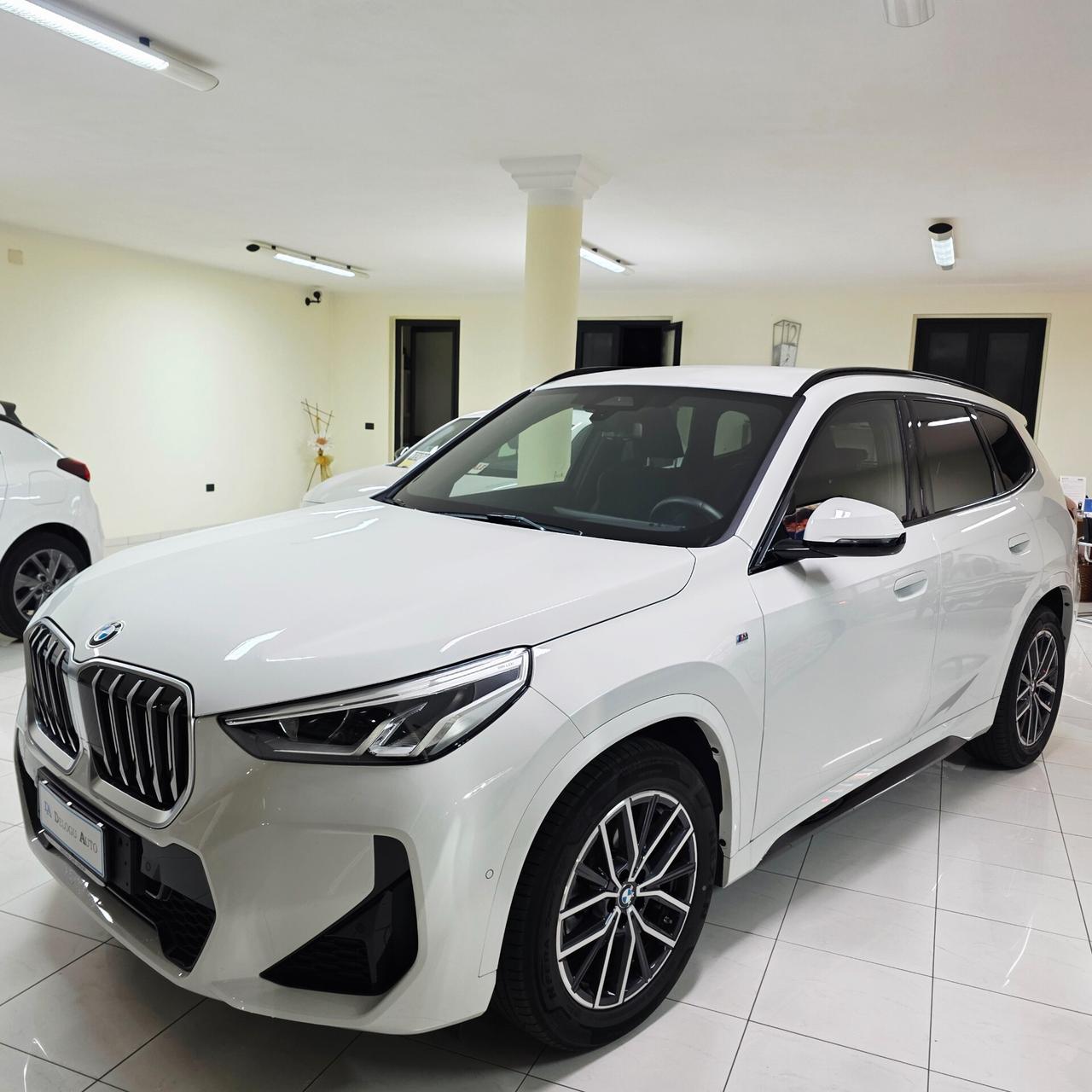 Bmw X1 sDrive 18d Msport AZIENDALE PERFETTA