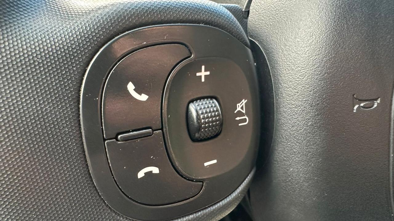 Fiat Panda 1.0 FireFly S&S Hybrid 2022 Perfetta NEOP LEGGI TESTO