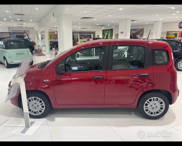 FIAT Panda My25 1.0 70cv Hybrid Panda N72574