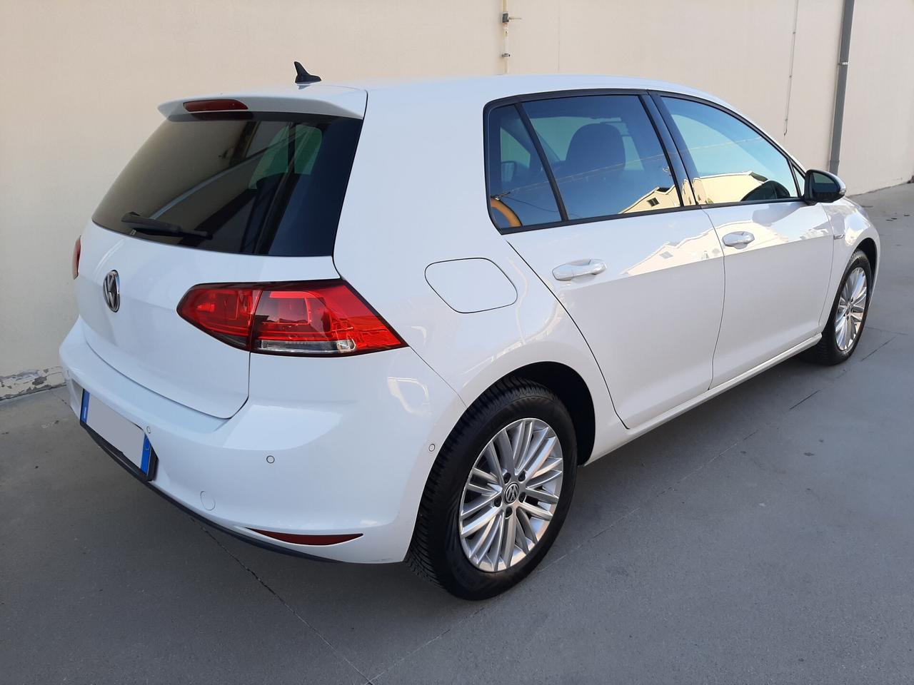 Volkswagen Golf 1.6 TDI 110 CV 5p. CUP BlueMotion Technology