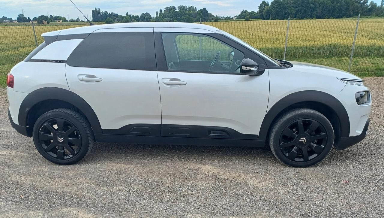 Citroen C4 Cactus BlueHDi 100 S&S Shine