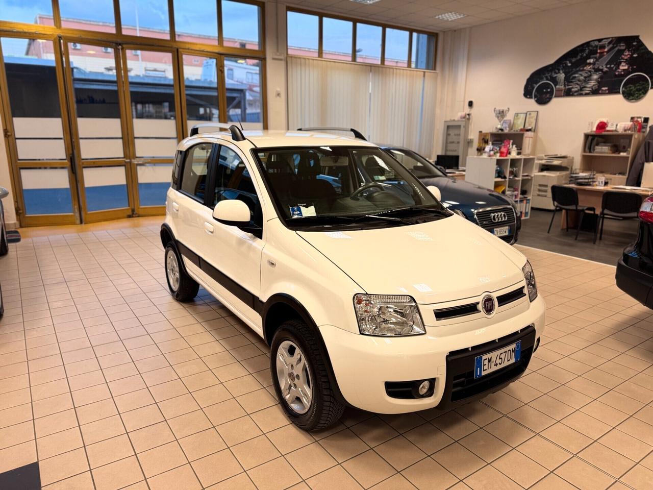 Fiat Panda 1.3 MJT 16V DPF 4x4 Climbing