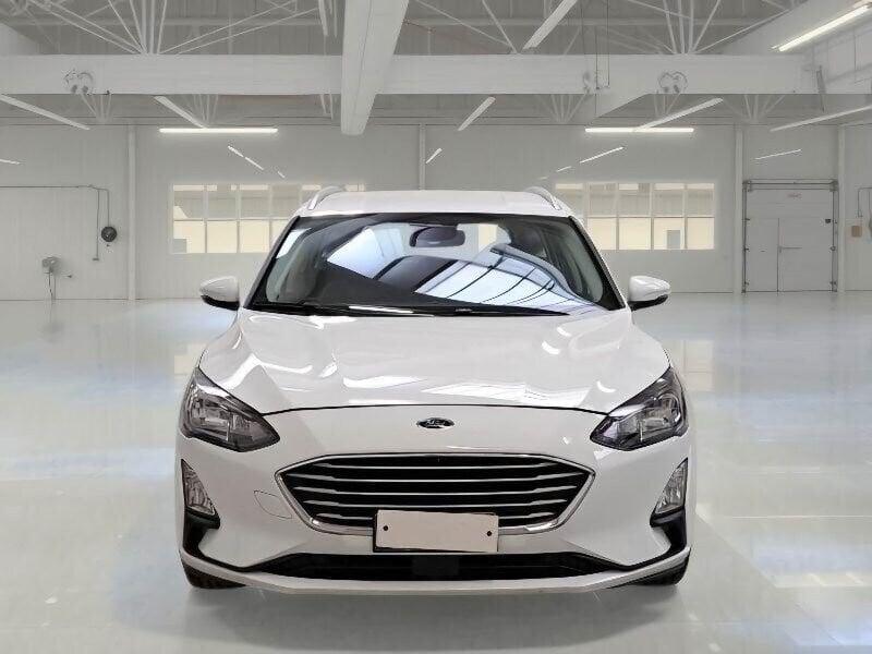 Ford Focus Focus 1.5 EcoBlue 120 CV automatico SW Business Co-Pilot