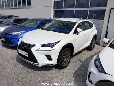 Lexus NX I 2018 300h 2.5 Premium 4wd cvt