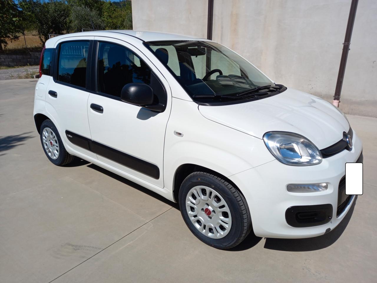 Fiat Panda 1.2 BENZ/GPL2020(IN SEDE YPSILON PANDA 4X4)