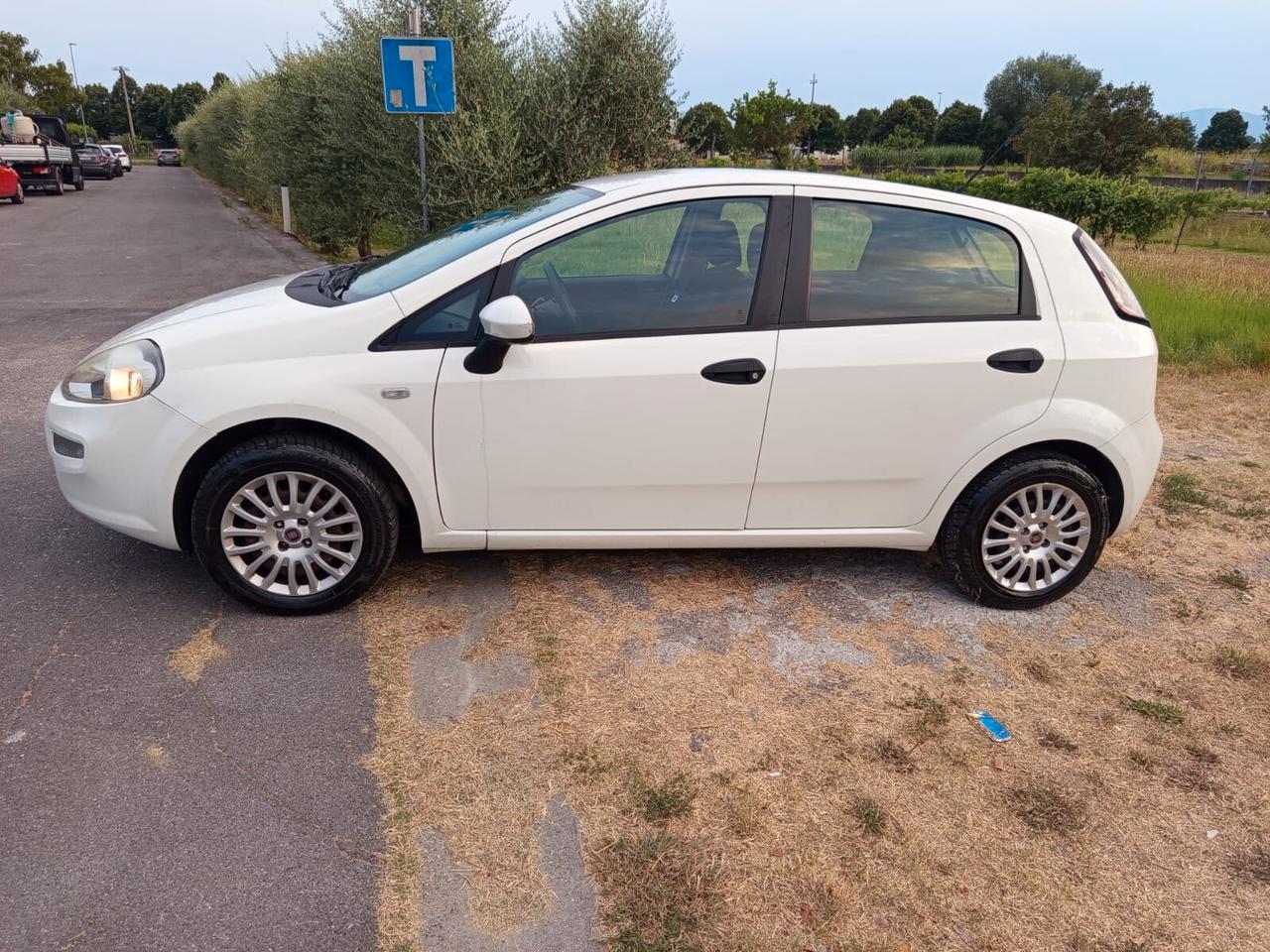 Fiat Punto 1.2 8V 5 porte Easy