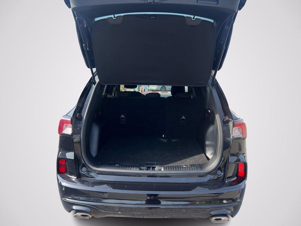 FORD Kuga 1.5 EcoBoost 150 CV 2WD ST-Line del 2023