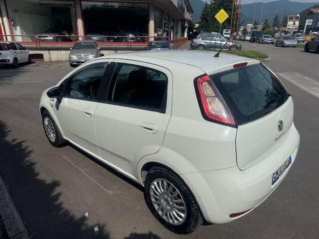 FIAT Punto 4ª serie Punto 1.2 8V 5 porte Young