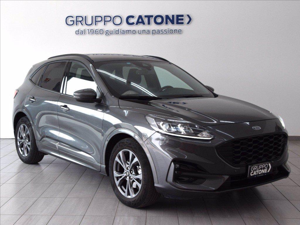FORD Kuga 1.5 ecoblue ST-Line 2wd 120cv auto del 2023