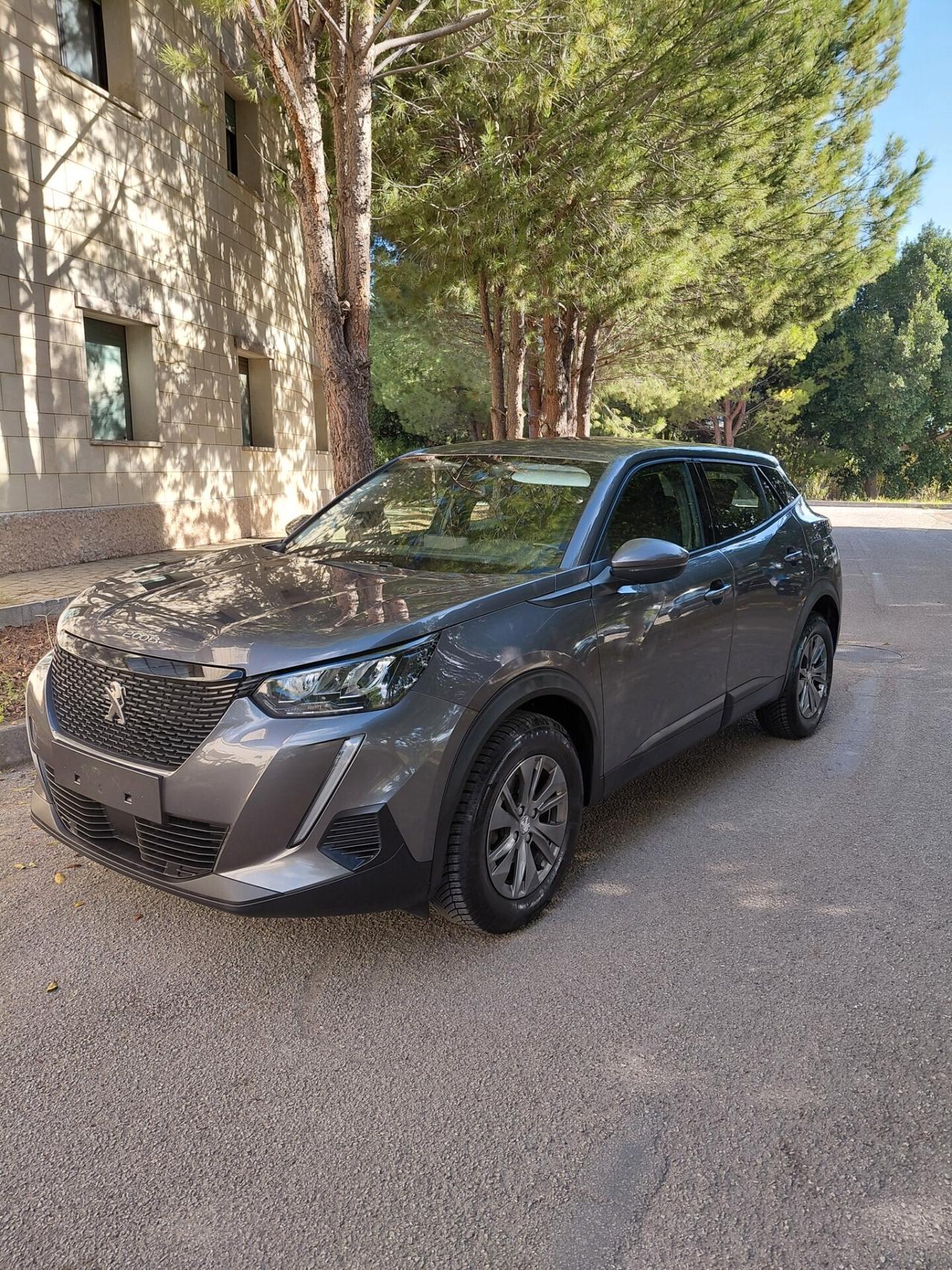 Peugeot 2008 BlueHDi 110 S&S Active Pack