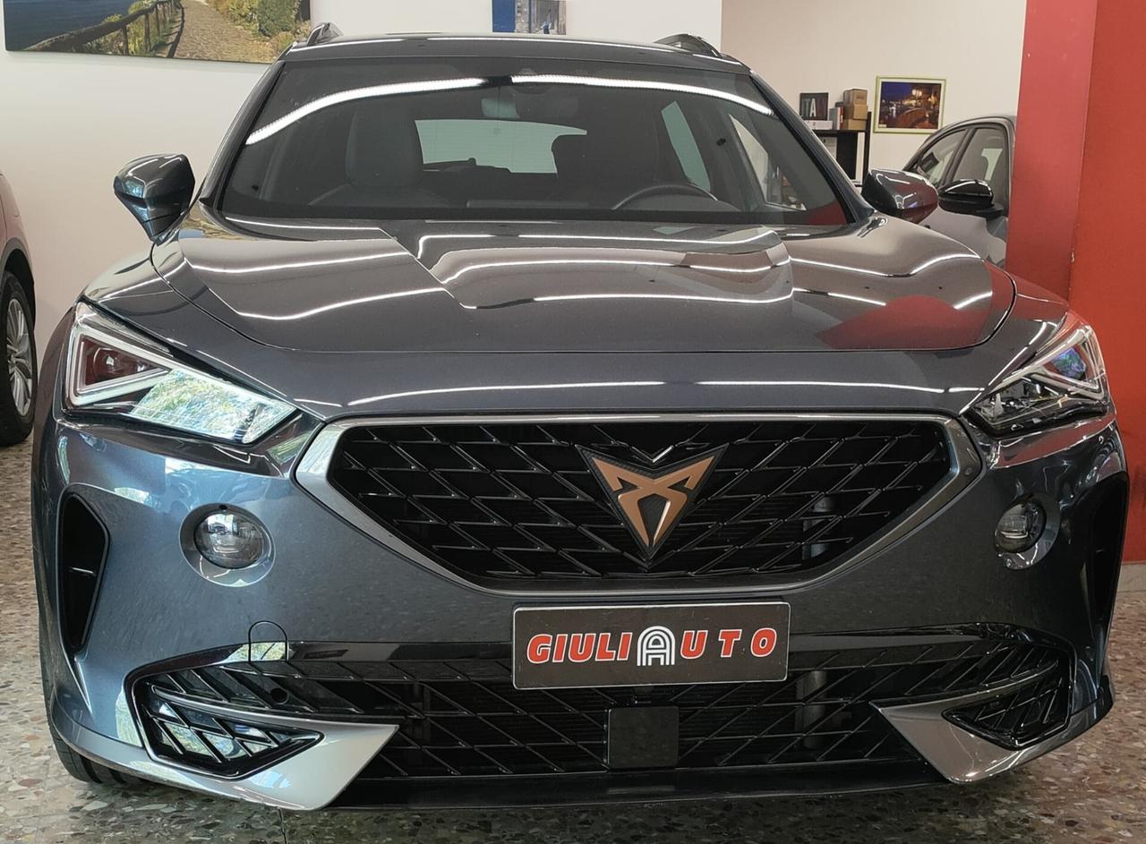 Cupra Formentor 2.0 TDI 4Drive DSG 2023