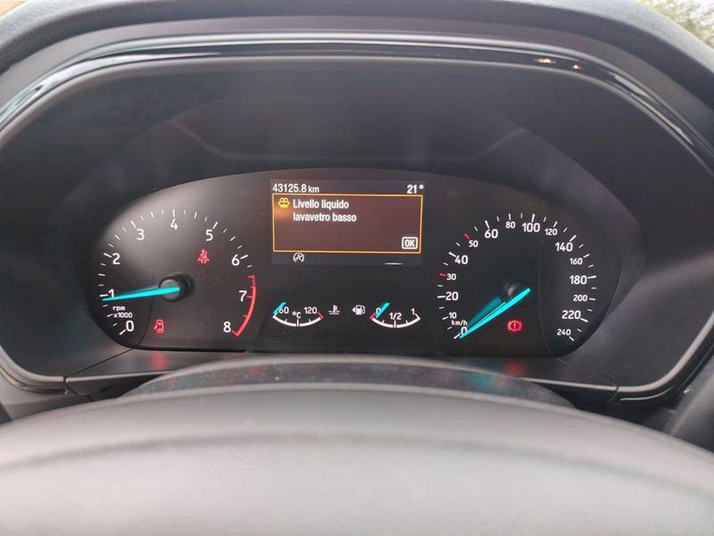 FORD Focus 1.0 EcoBoost Hybrid 125 CV 5p. ST-Line del 2023