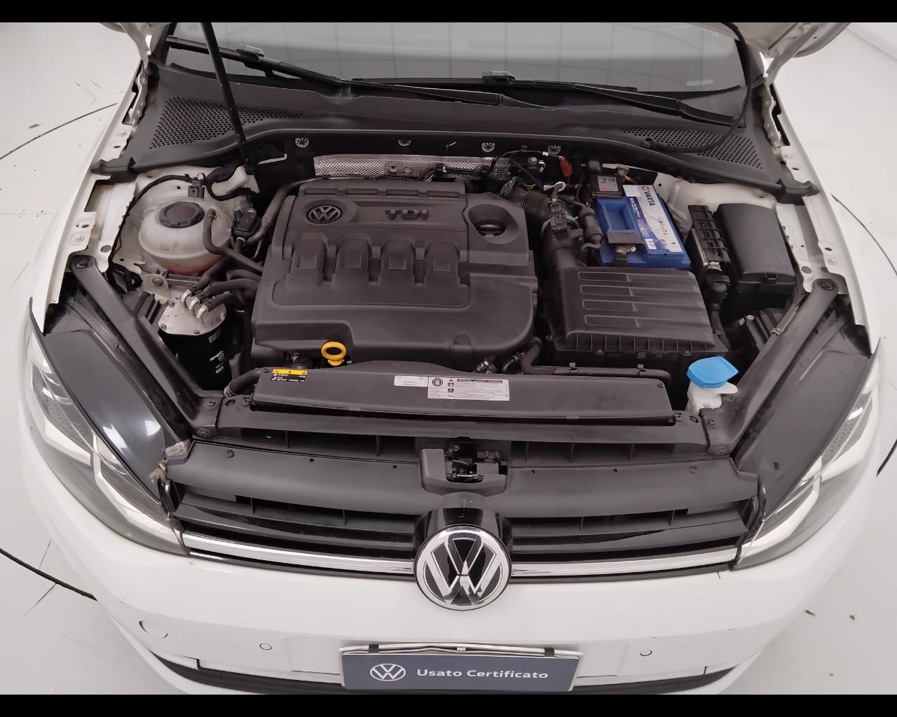 VOLKSWAGEN Golf VII 2017 5p - Golf 5p 1.6 tdi Executive 115cv dsg